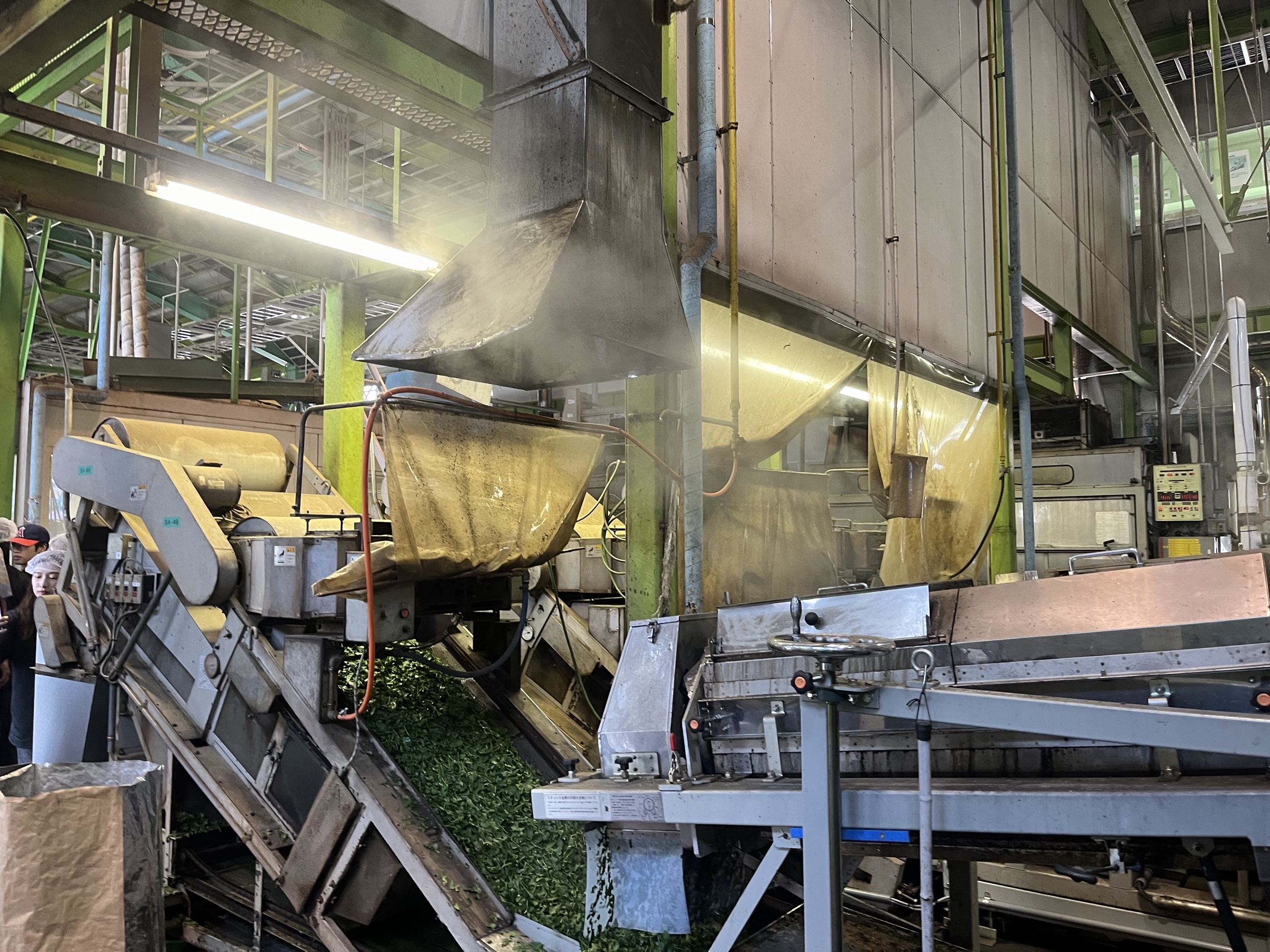 Tencha steaming machinery