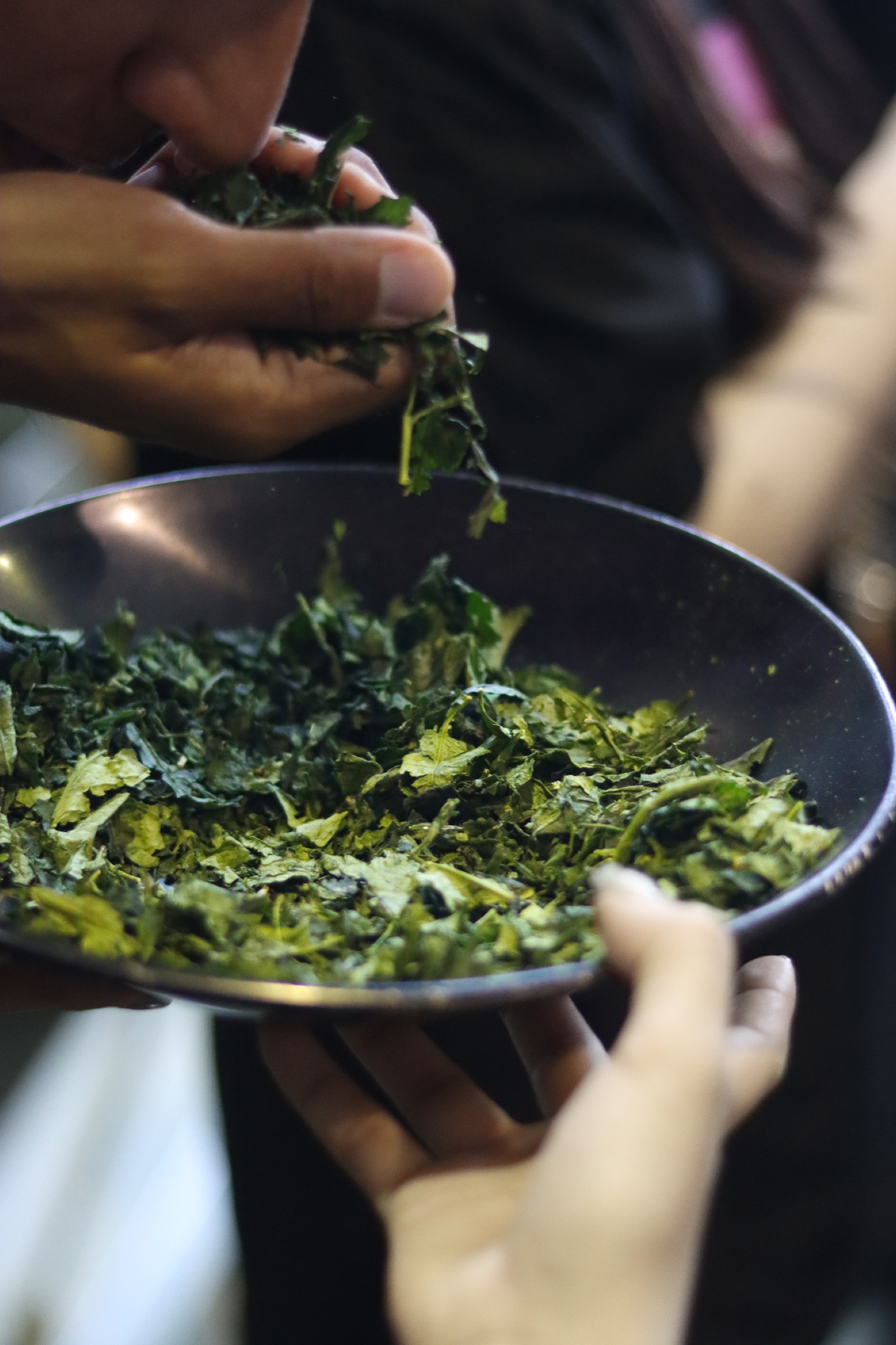 Evaluating a lot of matcha by aroma and color